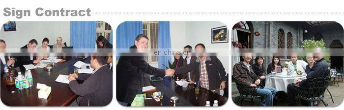 Robotic Sculpture for Outdoor Amusement Park