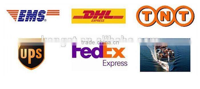 OEM Metal Swivel USB Memory Flash