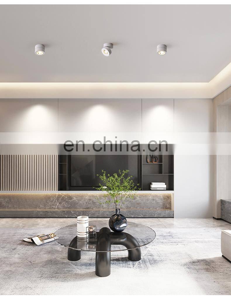 Surface Mounted Metal LED Black And White Ceiling Lamp Nordic Cloakroom Decoration Ceiling Lighting