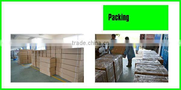 HB-RD201B 200w 250w low frequency induction street lighting