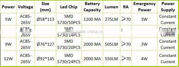 Cheaper price Novelty led bulb Rechargeable Emergency led Light Bulb