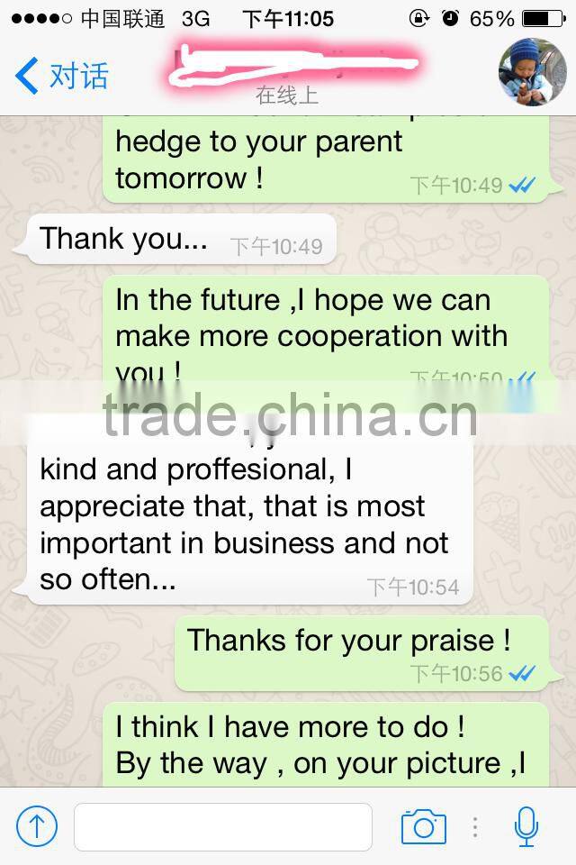 High quality Artificial boxwood panel /mats/hedge for garden wall landscaping