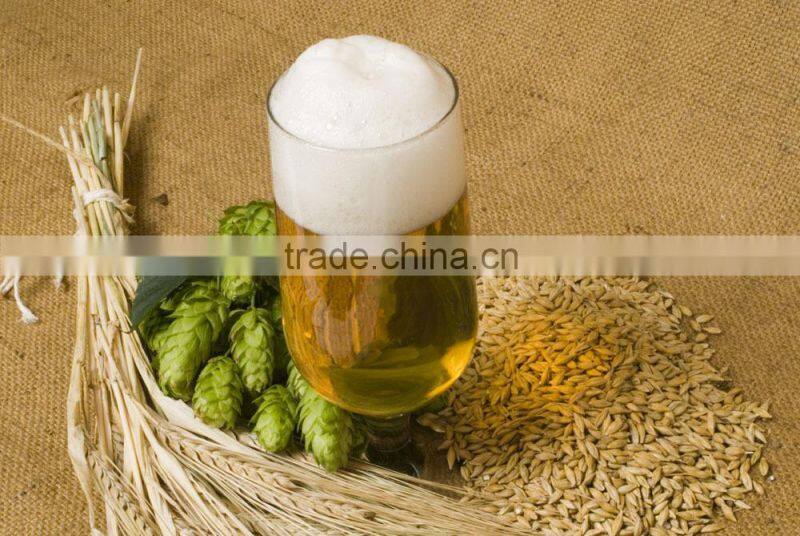 Ruijia 500L industial brewing equipment , commercial beer brewery,mash tun, fermenter,beer keg for sale