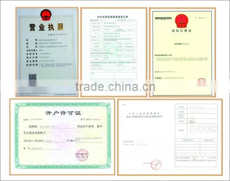 Filtrascale Hydraulic Piston