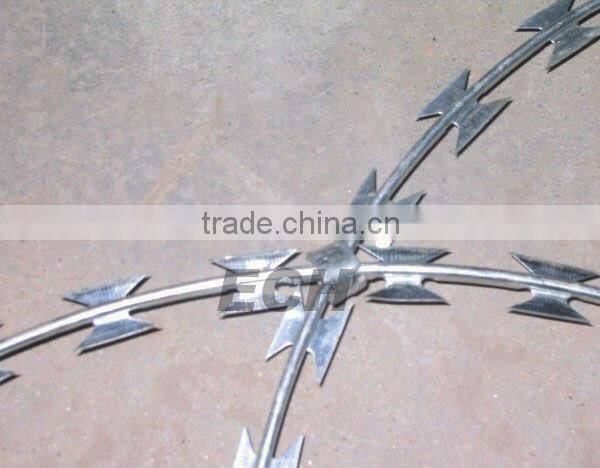 ECH galvanized razor barbed wire