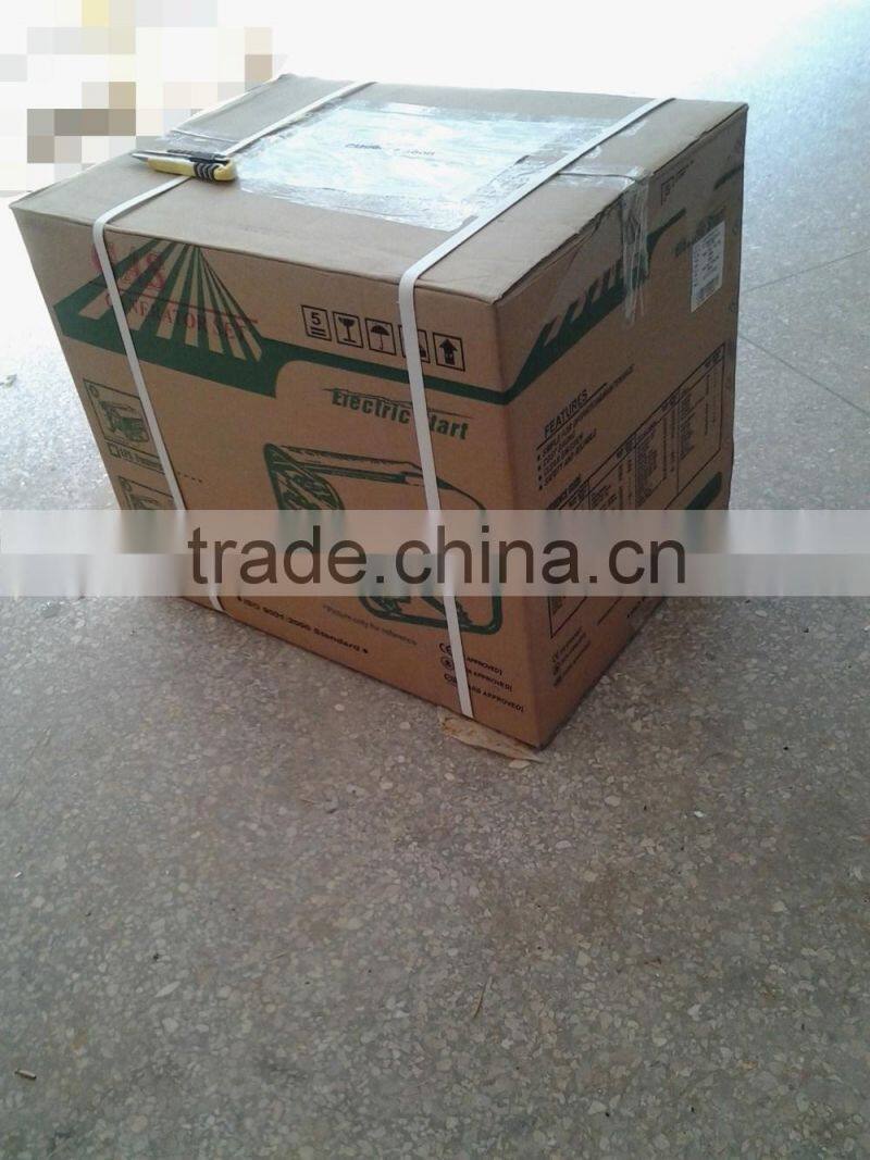 3kw gas generator for biogas plant