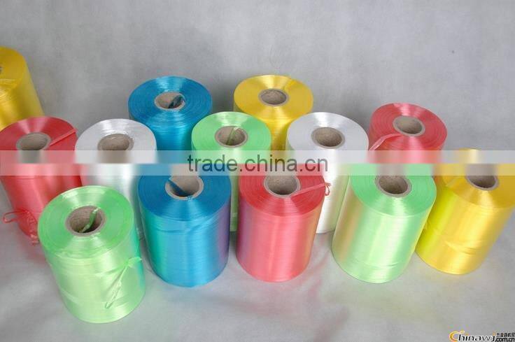 2015 hot China supplier PP/PE/Plastic finishing rope