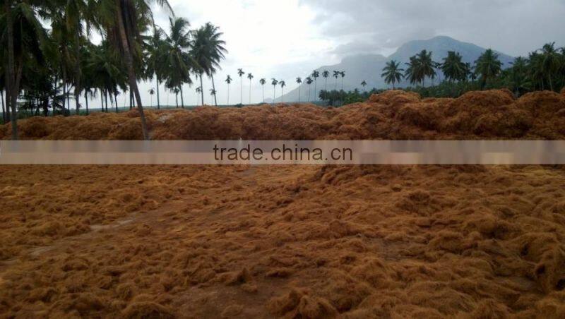 Indian Coco Peat / 5kg Coconut Peat Block