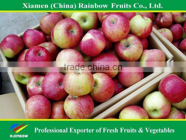 Chinese Red Apple