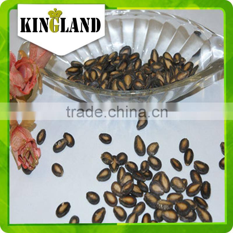 roasted black watermelon seeds