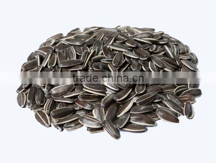 Export sunflower seed 3939