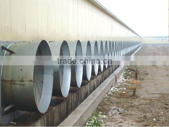 Poultry tunnel ventilation fan(50inch)