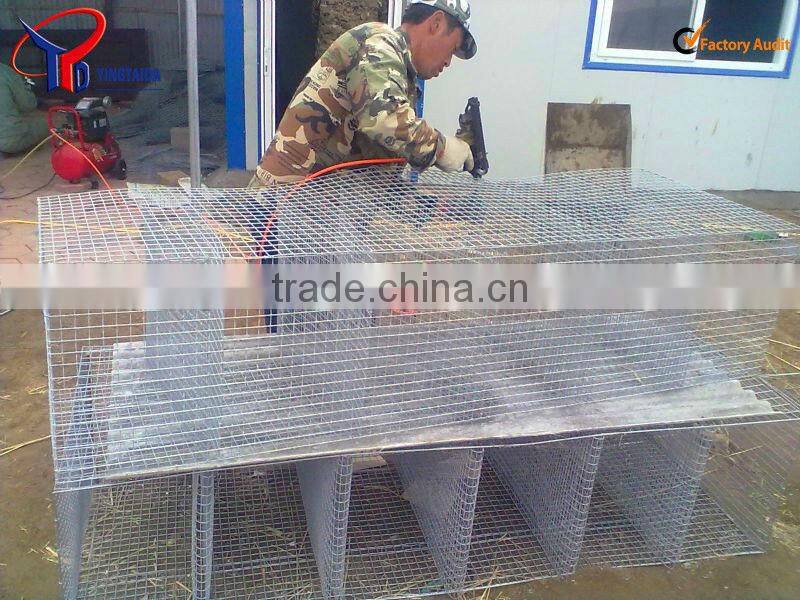 the latest mink cage factory price