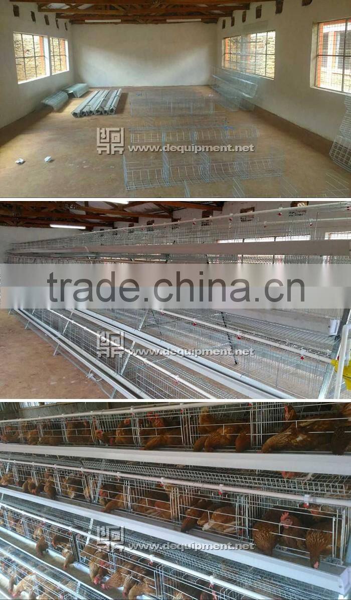 TA NO.1 top selling taiyu company chicken cage advantage in kenya