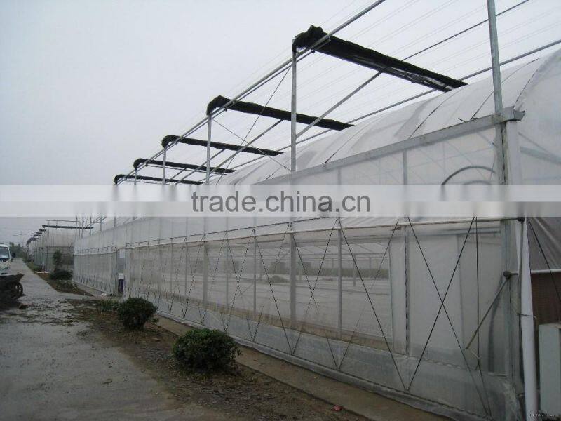 Plant greenhouse for flower