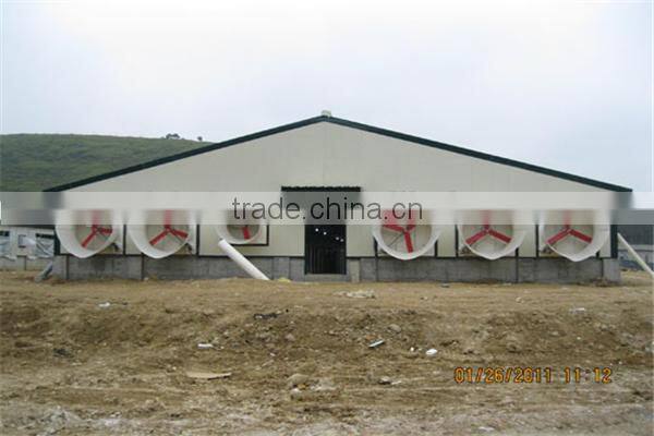 made in china layer egg chicken slaughter house