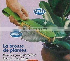 plastic plant brosse cleaning the leaf