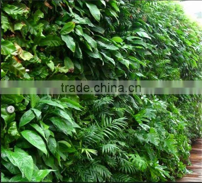 Artificial Primeval Jungle plant wall (special offer/bargain price:/2014 High Quality Factory pricer )