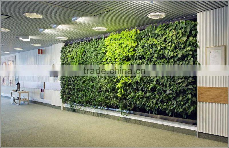 stair wall decorative plants wall