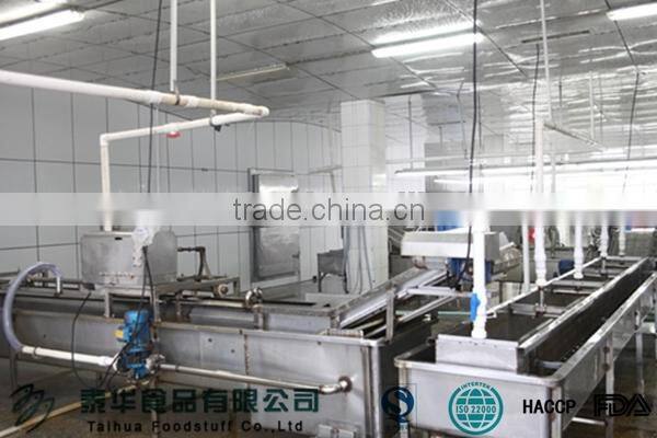 Frozen fresh new produced U5 squid tube