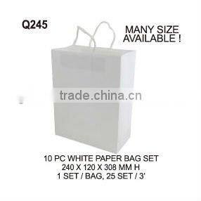 (Q245) 10 PC WHITE PAPER BAG SET