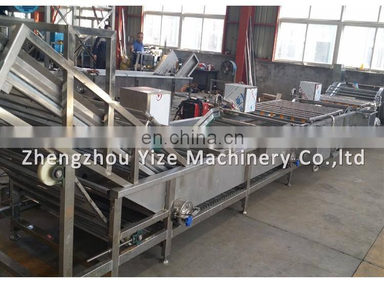 Bubble type fruit and vegetable washing machine , clean vegetable processing line