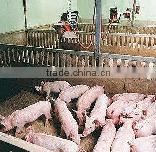 Flameless gas chicken infrared brooder (HD2606)