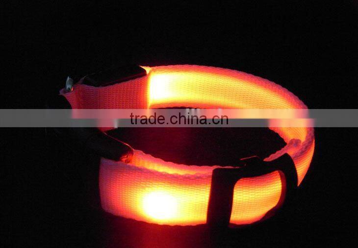Pure Color Double Side Exposure Flat Optical Fibre Led Pet Dog Collar