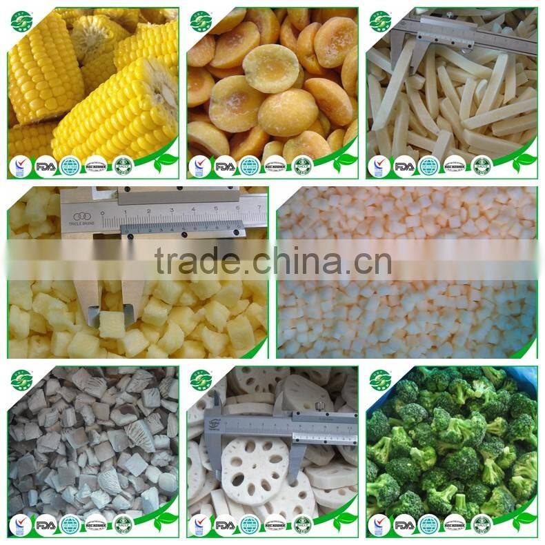 frozen button mushroom price