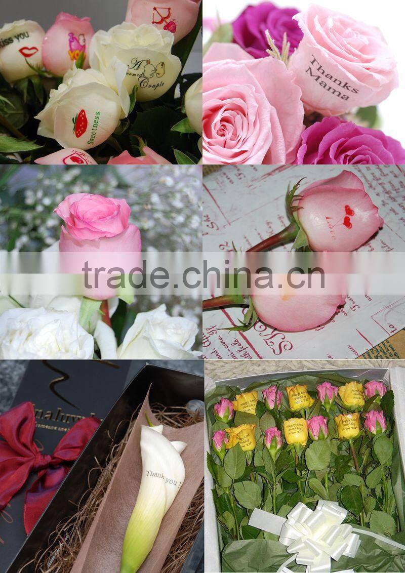 Flower Printer Machine