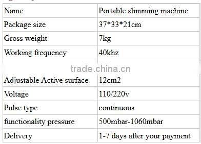 Hot!!! Fast Slimming Machine Spa or Home Use Beauty Machine Supersonic 40KHZ Panda Cavitation