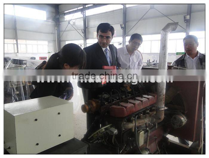 For export CE standard 10 - 600 kw biogas power plant for cng and lpg