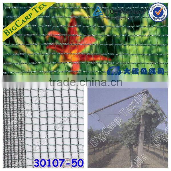 (20 years factory,Shanghai) 50grm vineyard Hail protection net