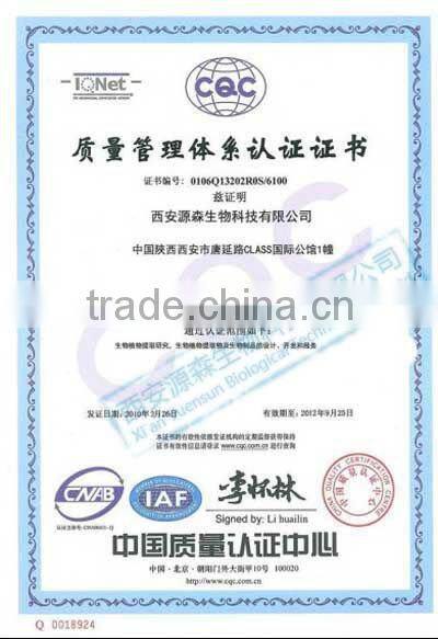High Purity stevia powder RA98%
