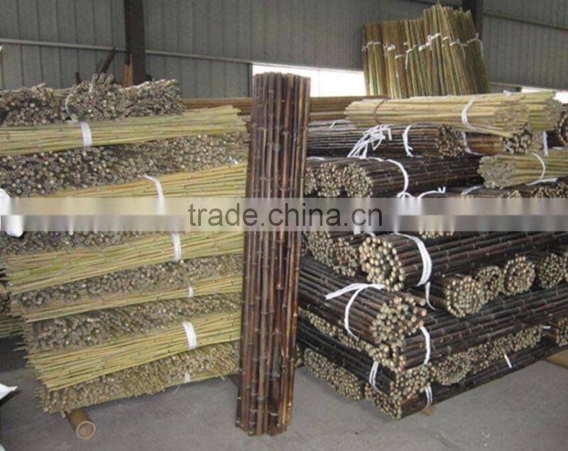 Homestar Cheap Bamboo Fence Designs / Natural cheap Roll bamboo fence For Sale