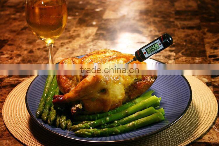 Digital household bbq oven thermometer WT-1