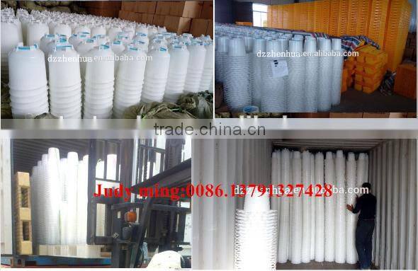 ZhenHua high quality chicken feeders and drinkers cheap price poultry feeders and drinkers big factory chicken feeder and water