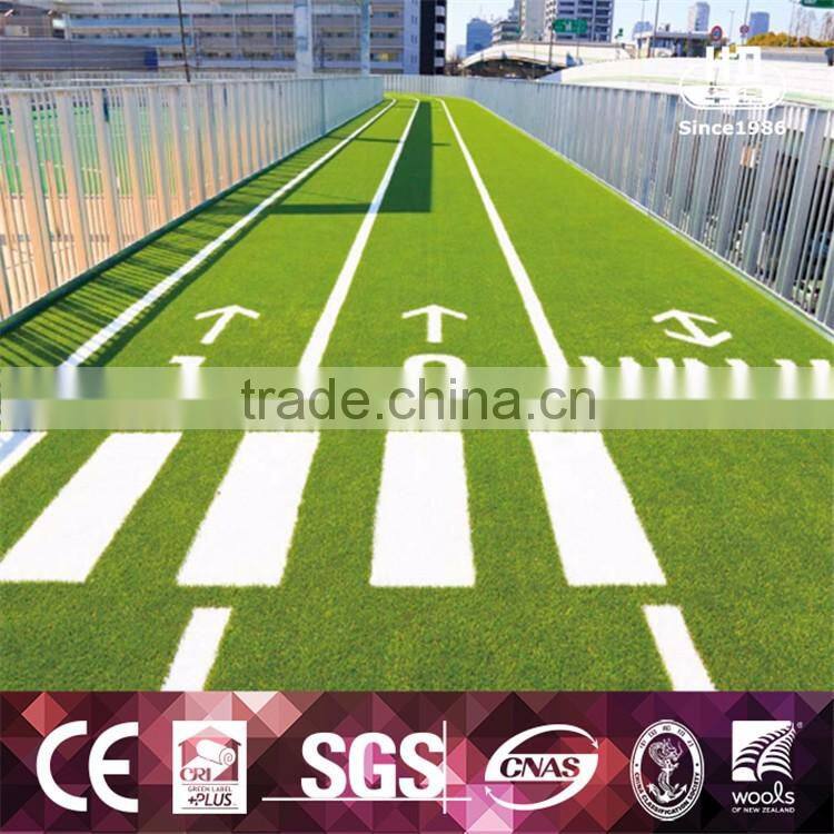 Special Hot Selling Landscape/Soccer/Futsal Court Grass/Playground Turf