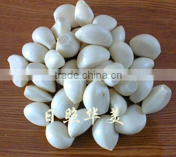 new crop high quality fresh garlic directly supply