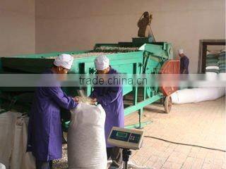 Black Watermelon Seed with best price and good quality