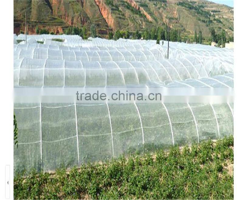 pe greenhouse anti insect proof net , 100% virgin hdpe anti uv anti insect net , nylon agricultural anti insect net