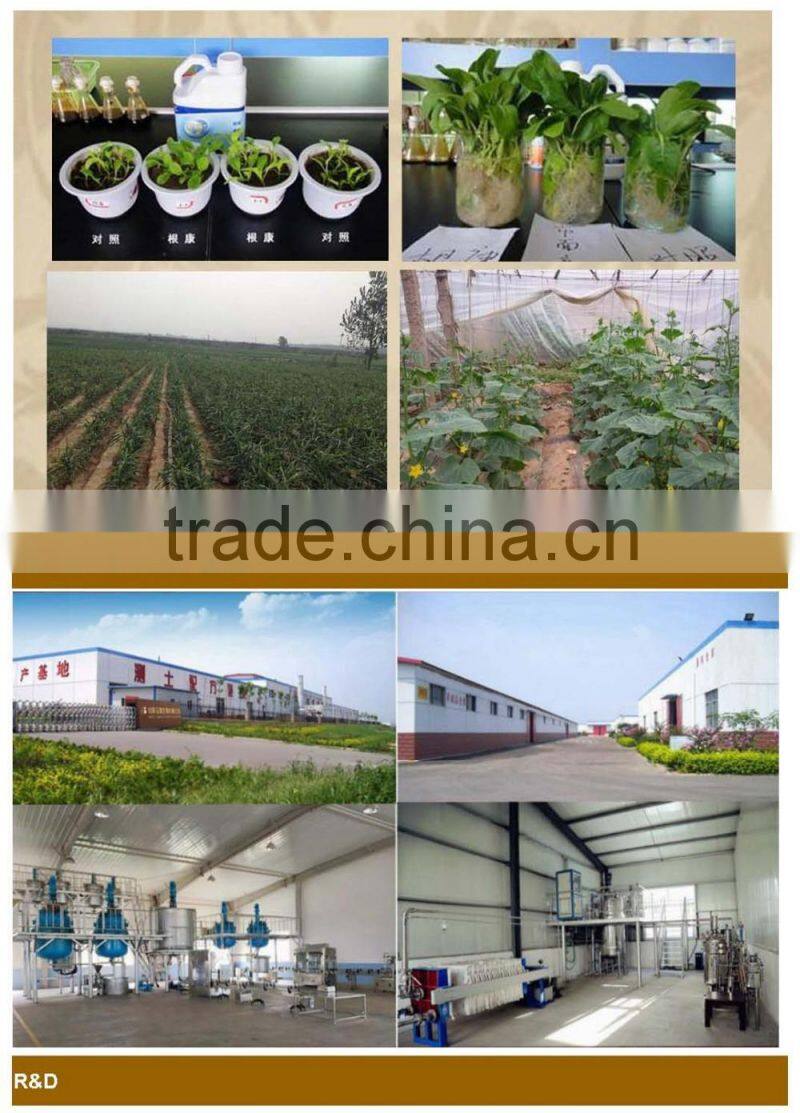 compound microbial liquid fertilizer