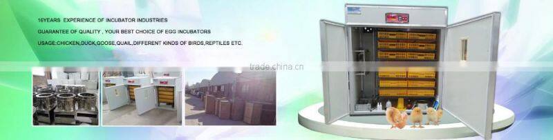 High Hatching Rate egg hatchery Machine Price setter and hatcher combined WQ-1232