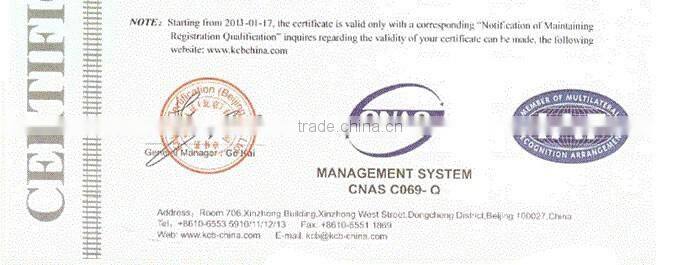 Auto Parts Injection Molding