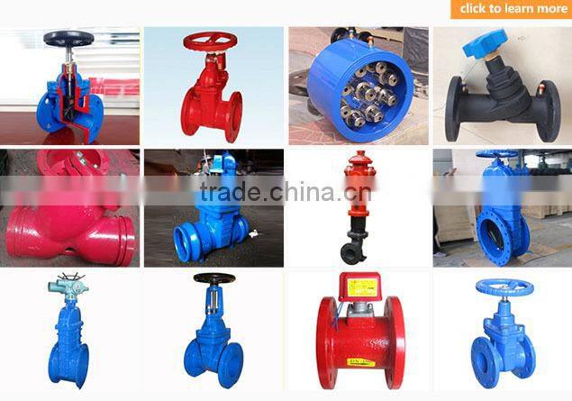 cast iron flanged ends lift check valve/cast iron wafer butterfly valve