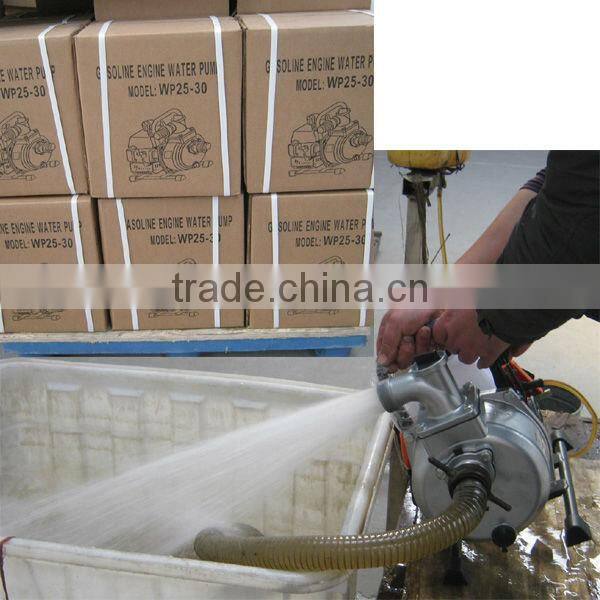 garden and agriculture portable 41.5cc 12L mist duster