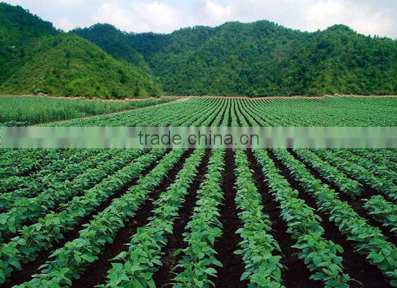 5% discount manual corn seeding machine