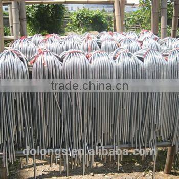 Doflex 2015 new design stainless steel flexible bath shower hose with brass fittings 59 inches