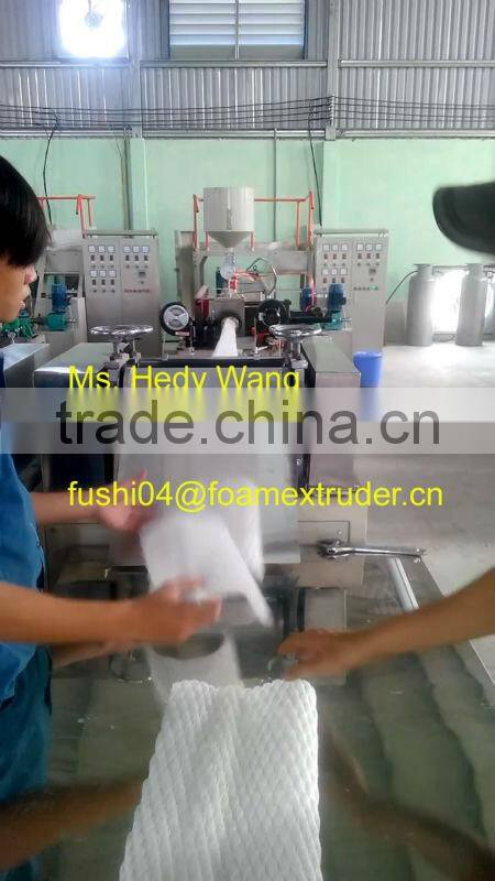 CE & ISO9001 Apple/Guava/Melon/Mango PE Foam Net/Pad Extrusion Machine