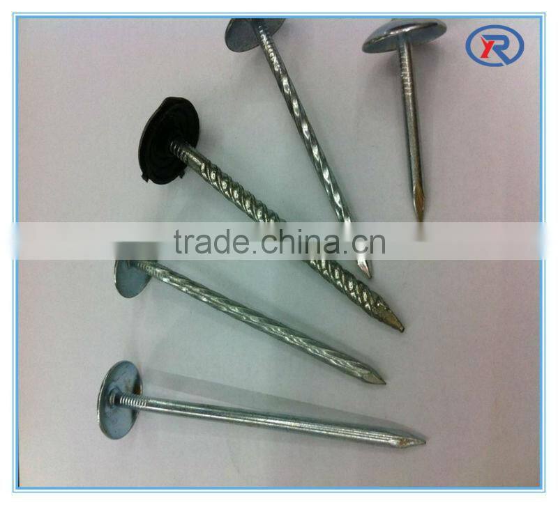 Hot sale BWG9X2.5" twisted shank umbrella roofing nails,galvanized roofing nail made in china